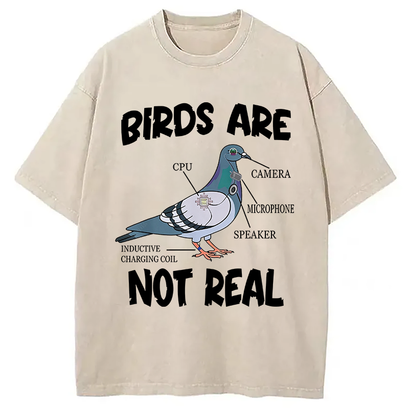 Modecanvas Pigeon Birds Are Not Real Funny DTG Printing Washed T-Shirt