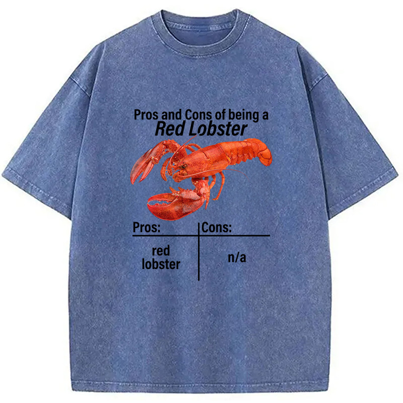 Modecanvas Pros And Cons Washed T-Shirt