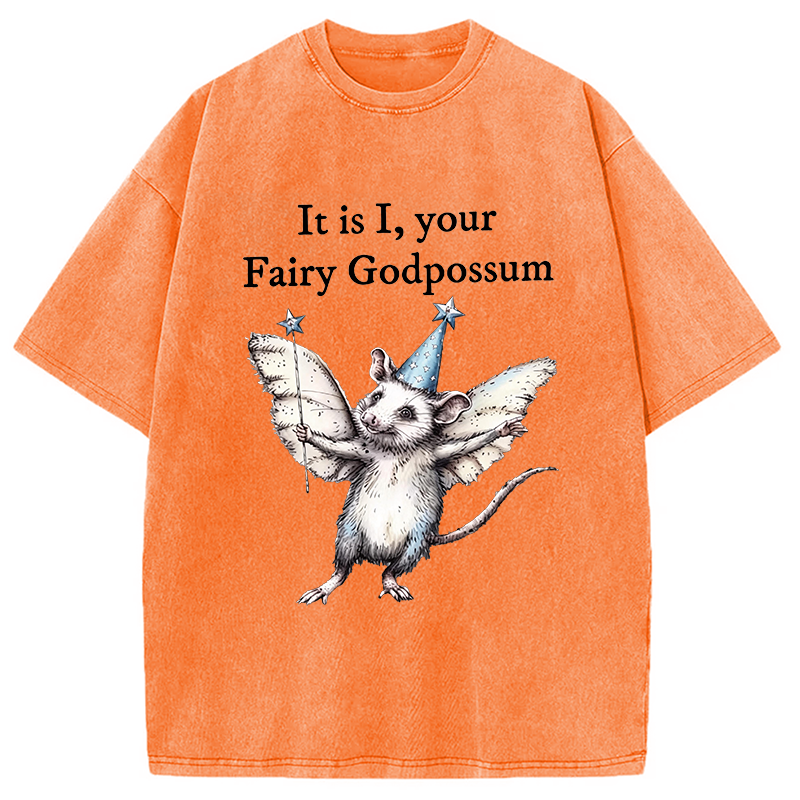 Modecanvas It Is I, Your Fairy Godpossum DTG Printing Washed T-Shirt