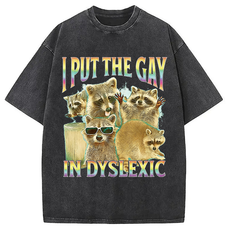 Modecanvas I Put The Gay In Dyslexic Funny Raccoon Meme DTG Printing Washed T-Shirt