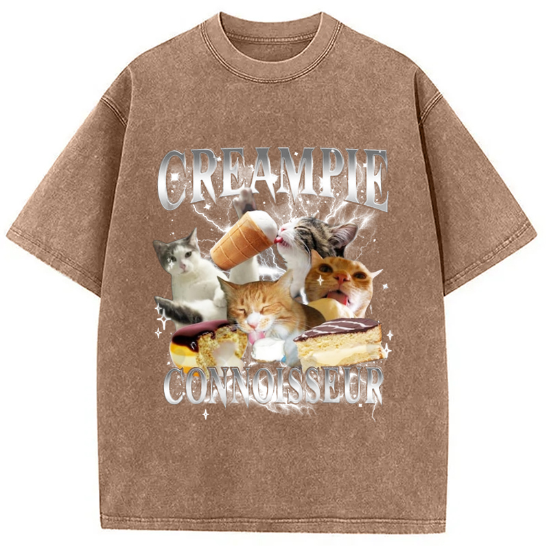 Modecanvas Creampie Connoisseur Meme Washed T-Shirt-modecanvas