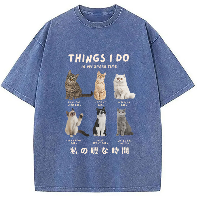Modecanvas Things I Do In My Spare Time Funny Cat Washed T-Shirt