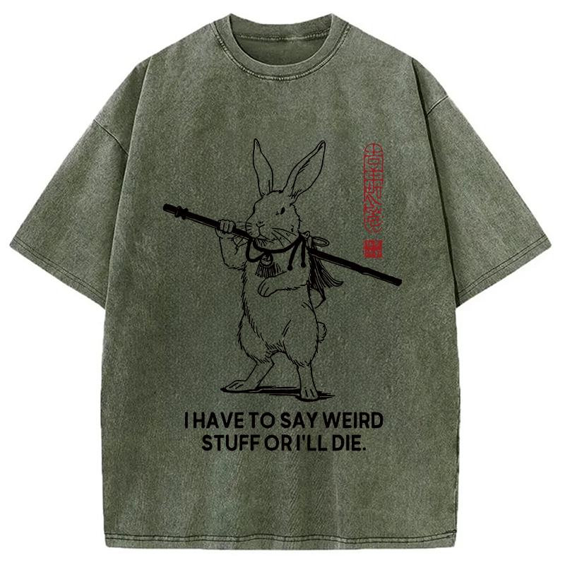 Modecanvas I Have To Say DTG Printing Washed T-Shirt