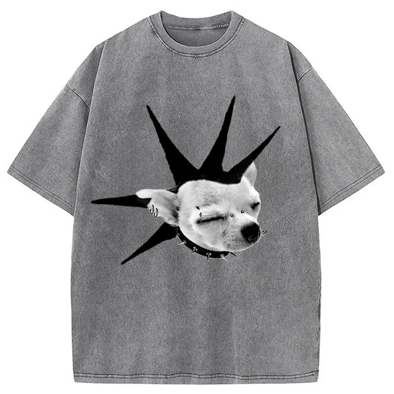 Modecanvas Funny Collar Dog Meme Washed T-Shirt