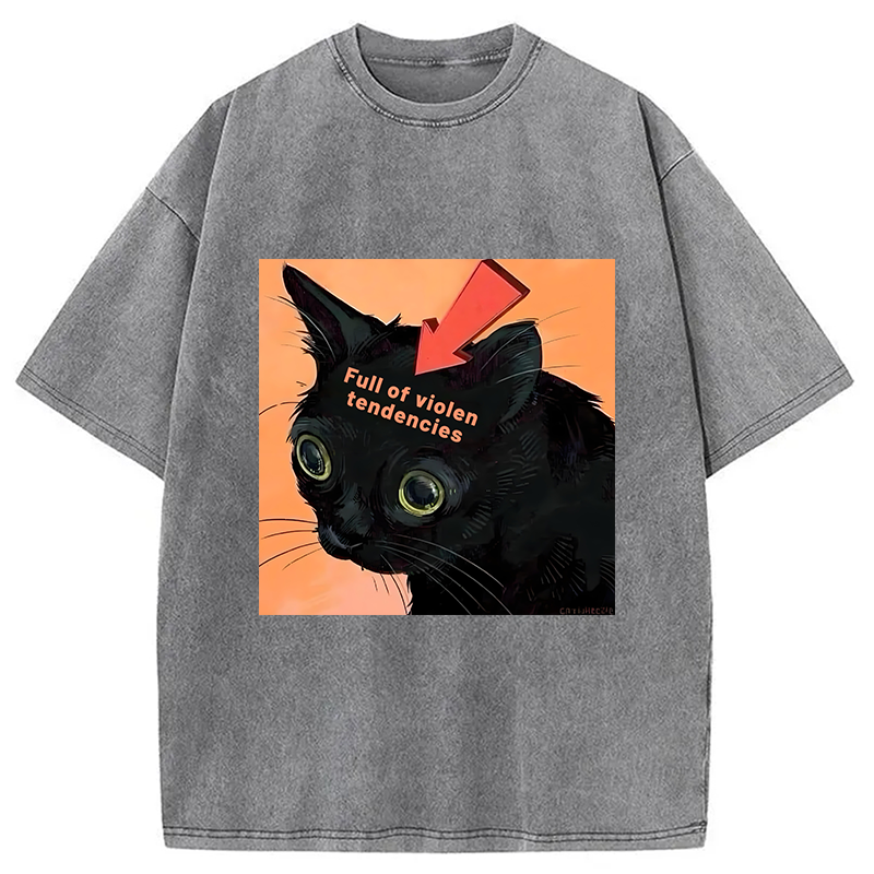 Modecanvas Full of Violen Tendencies Washed T-Shirt