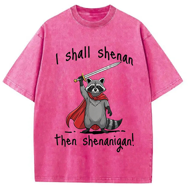 Modecanvas I Shall Shenan Cute Raccoon Meme DTG Printing Washed T-Shirt