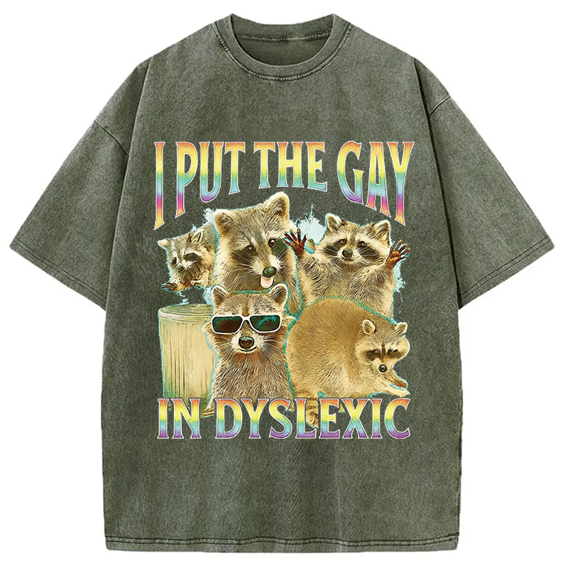 Modecanvas I Put The Gay In Dyslexic Funny Raccoon Meme DTG Printing Washed T-Shirt