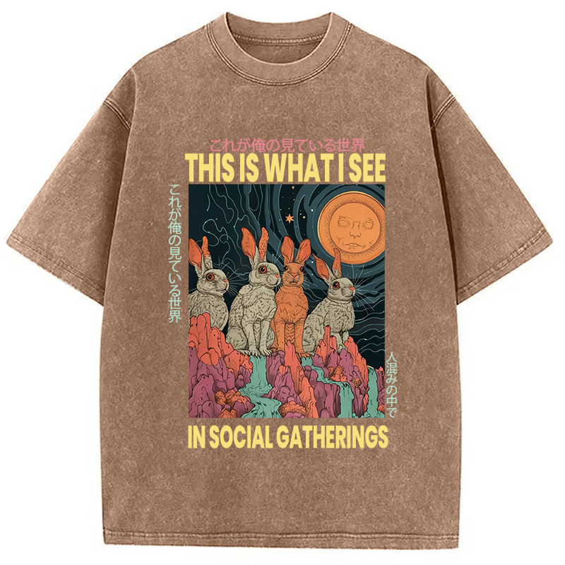 Modecanvas Funny Rabbit Japanese Social Anxiety DTG Printing Washed T-Shirt-modecanvas