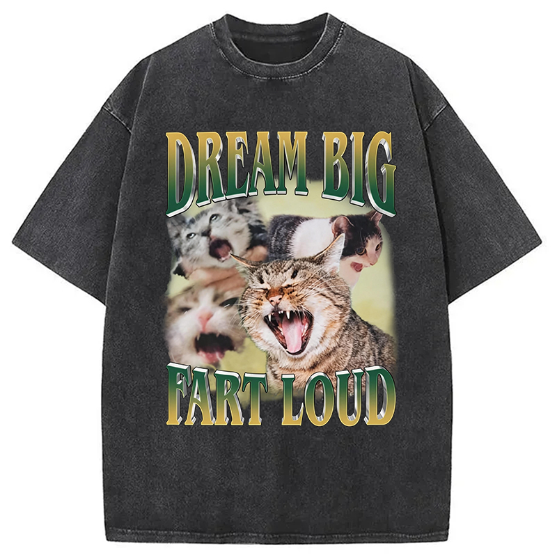 Modecanvas Dream Big Fart Loud Funny Cat Meme DTG Printing Washed T-Shirt