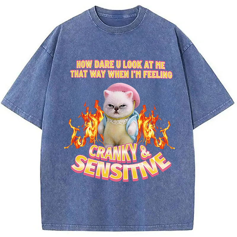 Modecanvas Cranky Kitty DTG Printing Washed T-Shirt