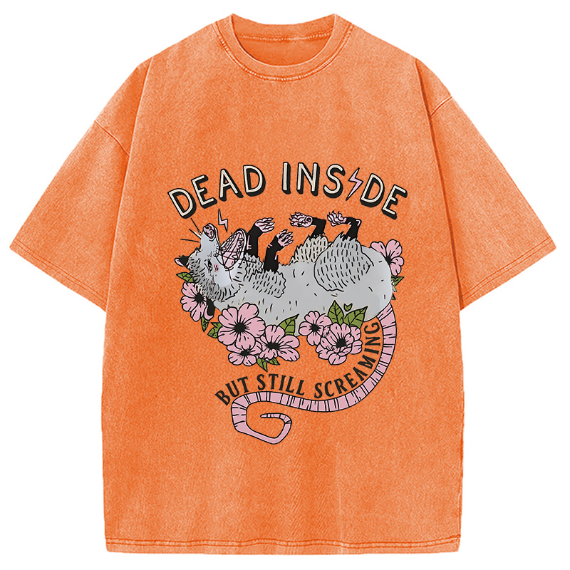 Modecanvas Dead Inside Washed T-Shirt
