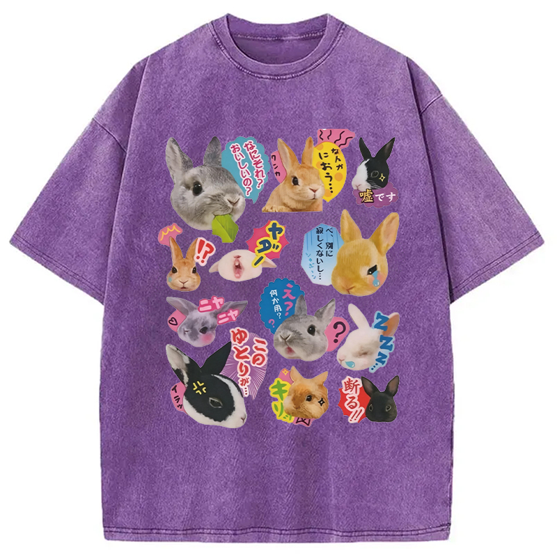 Modecanvas Japanese Bunny DTG Printing Washed T-Shirt