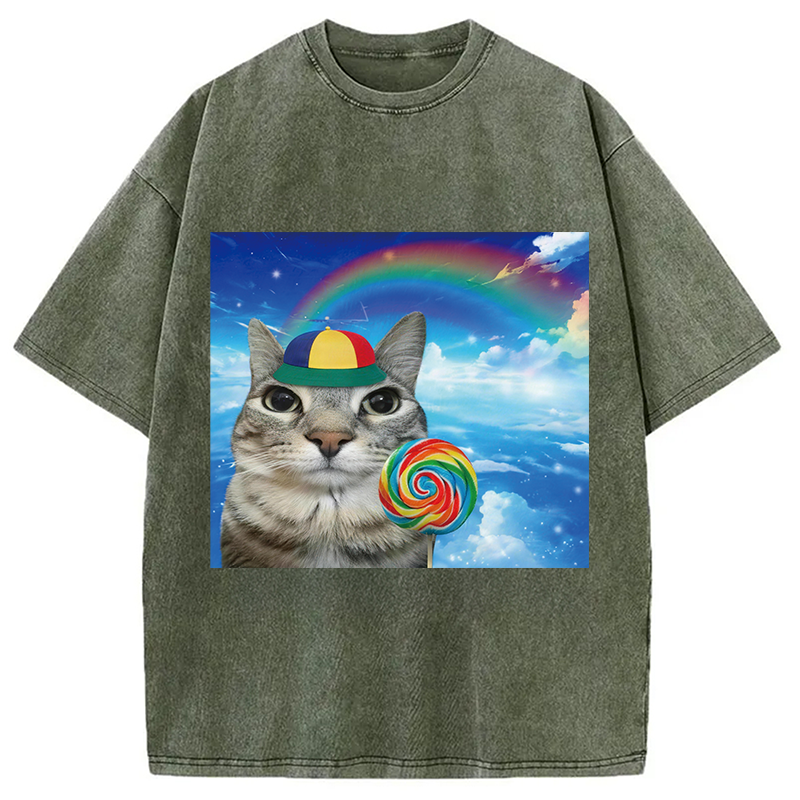 Modecanvas Wholesome Rainbow Cat DTG Printing Washed T-Shirt