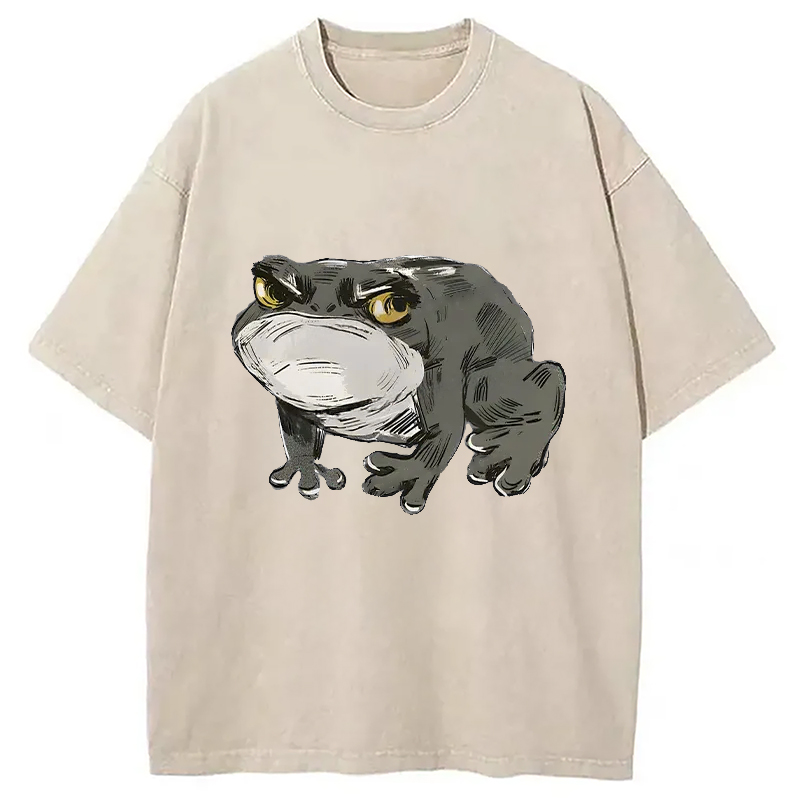 Modecanvas Japanese Frog Retro Washed T-Shirt