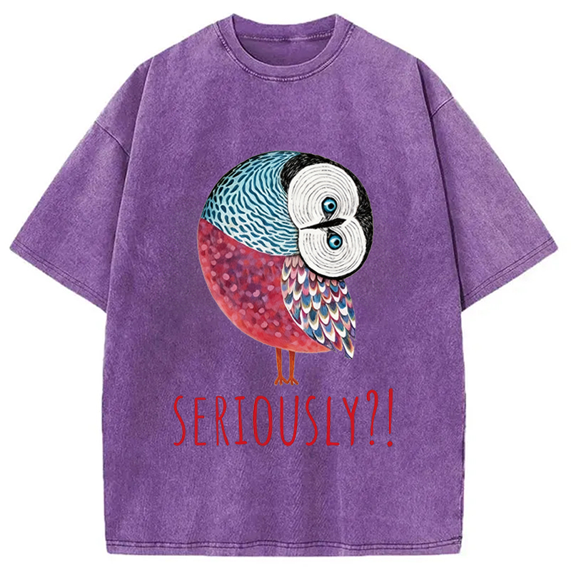 Modecanvas Seriously Art Owl DTG Printing Washed T-Shirt