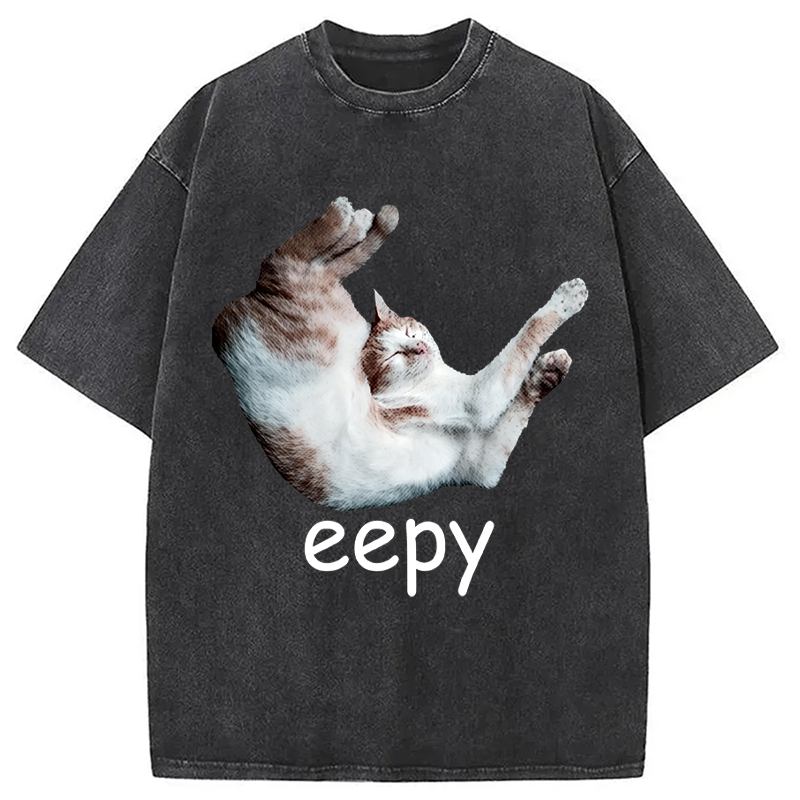 Modecanvas Silly Sleepy Cat Meme DTG Printing Washed T-Shirt
