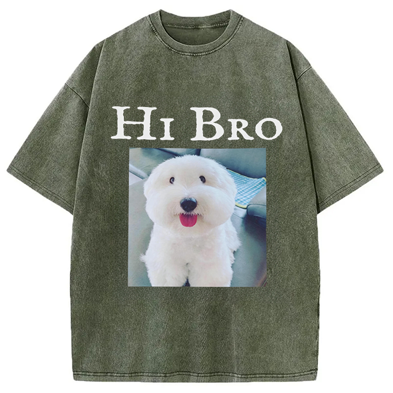 Modecanvas Hi Bro Dog Meme DTG Printing Washed T-Shirt