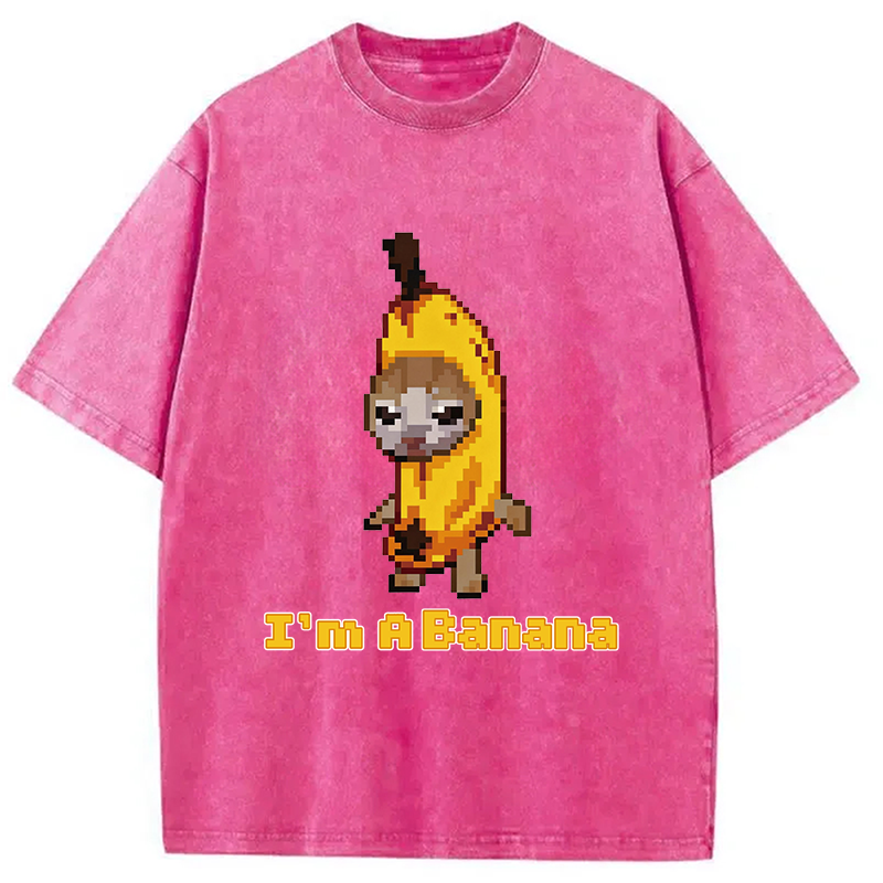 Modecanvas Banana Cat DTG Printing Washed T-Shirt
