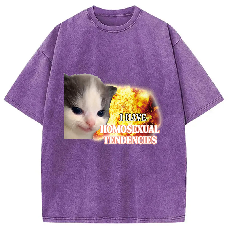 Modecanvas I Have Homosexual Tendencies Evil Kitty Meme DTG Printing Washed T-Shirt