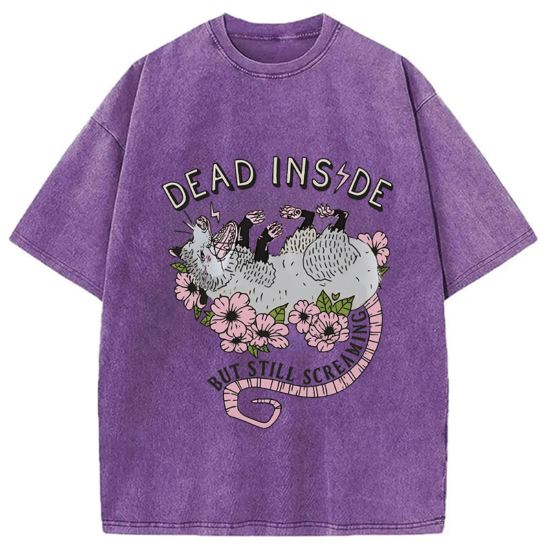 Modecanvas Dead Inside Washed T-Shirt