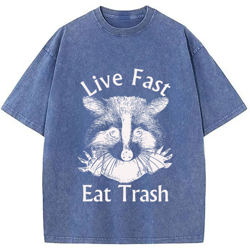 Modecanvas Trash Panda Raccoon DTG Printing Washed T-Shirt