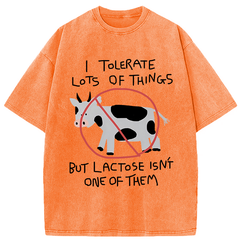 Modecanvas I Tolerate Lots Of Things DTG Printing Washed T-Shirt