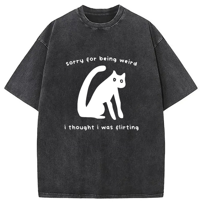 Modecanvas Sorry For Being Weird Washed T-Shirt