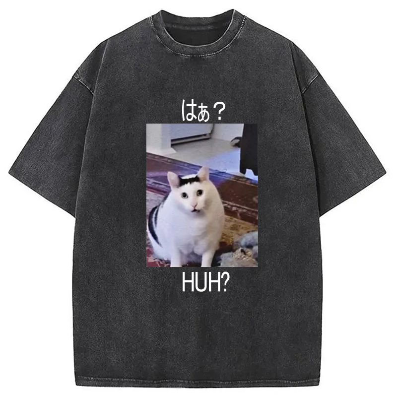 Modecanvas Huh? Funny Cat Meme Washed T-Shirt-modecanvas