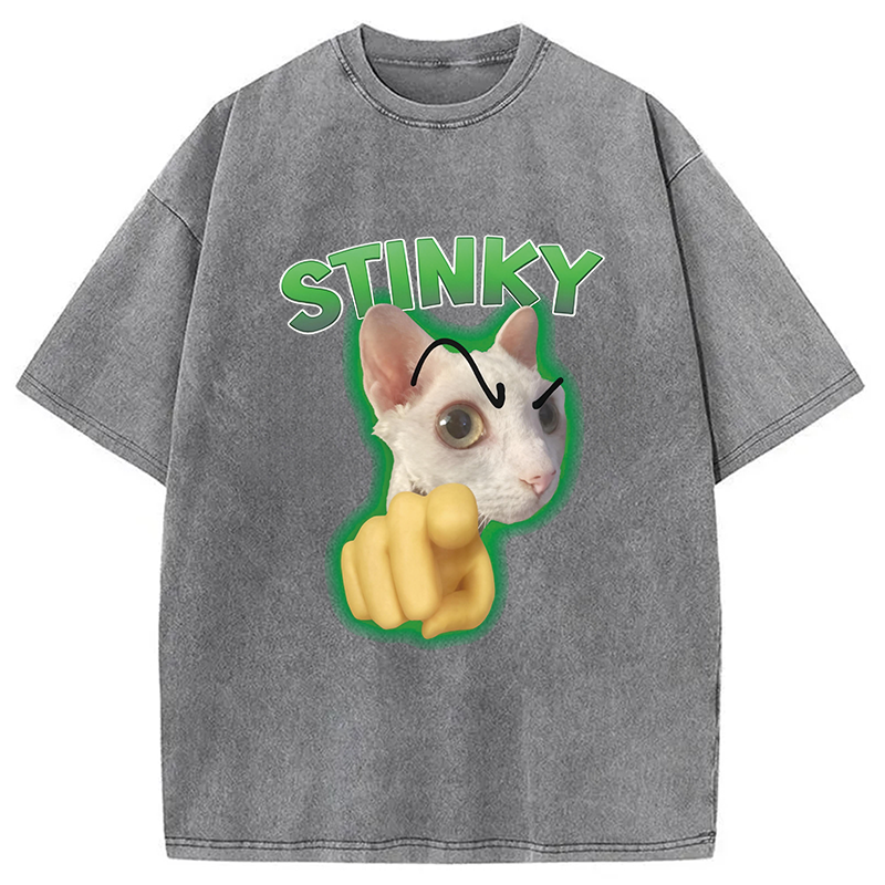 Modecanvas Stinky Funny Cat Meme DTG Printing Washed T-Shirt