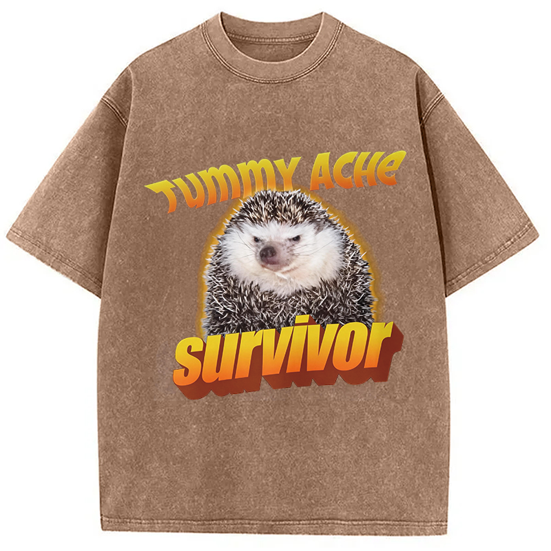 Modecanvas Tummy Ache Survivor Meme Washed T-Shirt-modecanvas