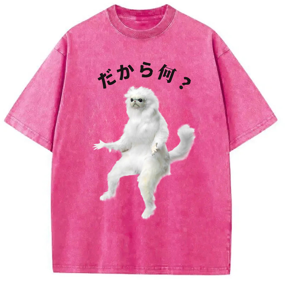 Modecanvas So What White Cat Meme Washed T-Shirt
