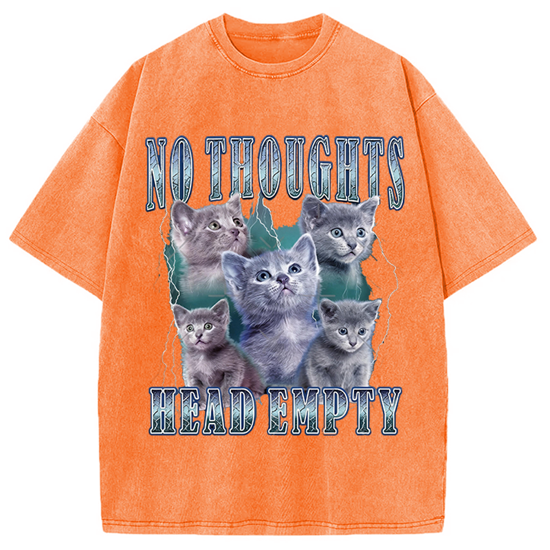 Modecanvas No Toughts Head Empty Funny Cat Meme DTG Printing Washed T-Shirt