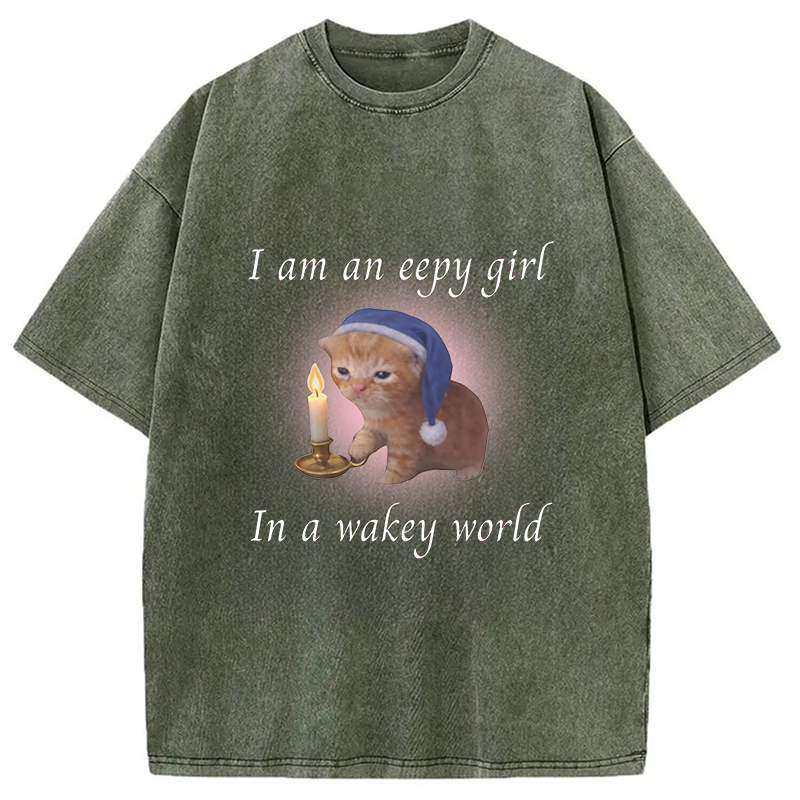 Modecanvas Eepy Girl Cat Meme DTG Printing Washed T-Shirt