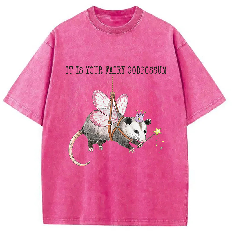 Modecanvas Funny Possum Meme DTG Printing Washed T-Shirt