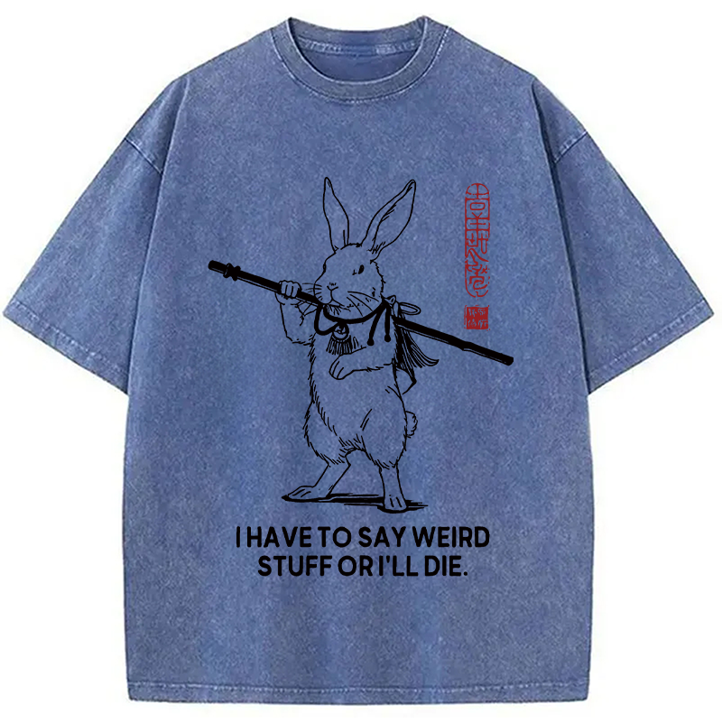 Modecanvas I Have To Say DTG Printing Washed T-Shirt