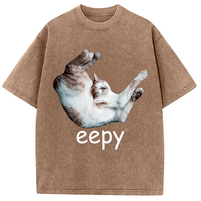 Modecanvas Silly Sleepy Cat Meme DTG Printing Washed T-Shirt