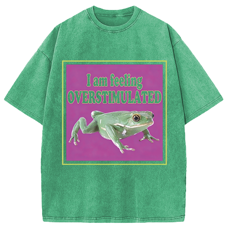 Modecanvas I Am Feeling Overstimulated DTG Printing Washed T-Shirt
