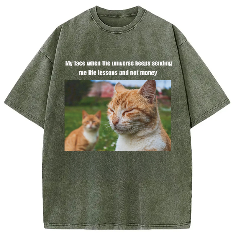 Modecanvas Grumpy Cat Meme DTG Printing Washed T-Shirt