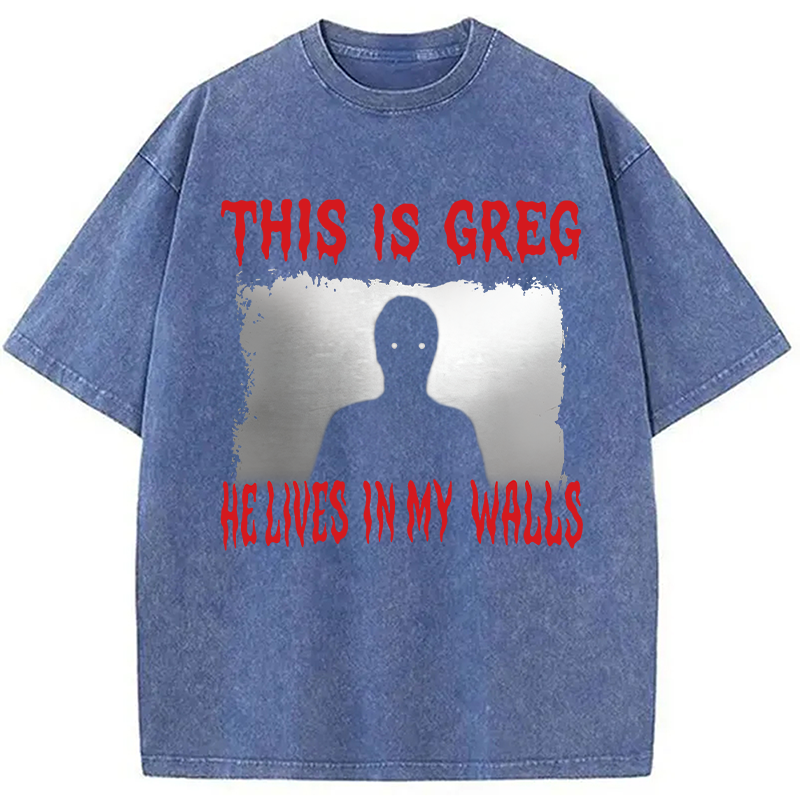 Modecanvas This Is Greg Funny Schizo Meme DTG Printing Washed T-Shirt-modecanvas