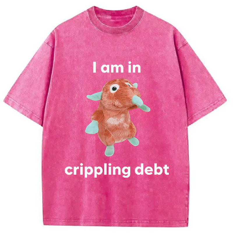 Modecanvas I Am In Crippling Debt Funny Meme DTG Printing Washed T-Shirt