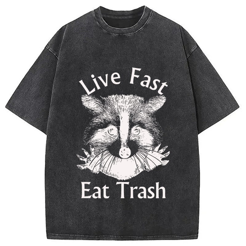 Modecanvas Trash Panda Raccoon DTG Printing Washed T-Shirt