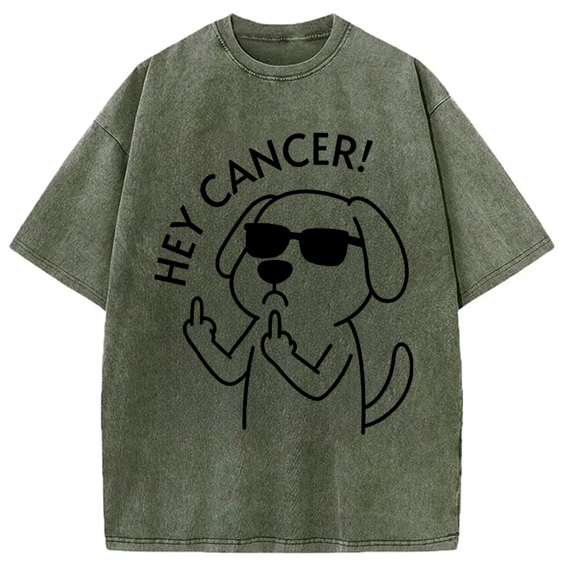 Modecanvas Hey Dog Cancer DTG Printing Washed T-Shirt