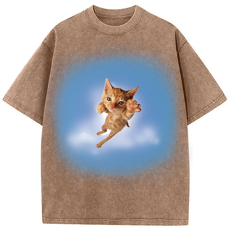 Modecanvas Pounce? More Like flounce DTG Printing Washed T-Shirt