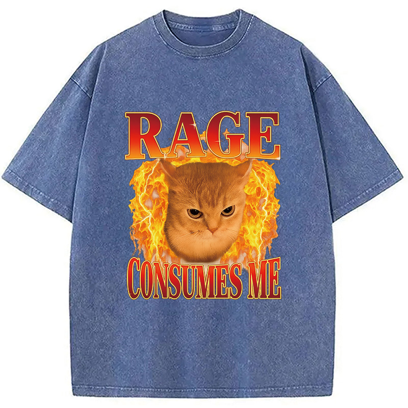 Modecanvas Rage Consumes Me Edgy Funny Cat Meme Washed T-Shirt-modecanvas
