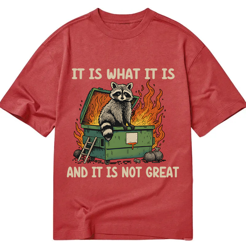 Modecanvas It Is What It Is Dumpster Fire Funny Raccoon Meme DTG Printing Classic T-Shirt-modecanvas