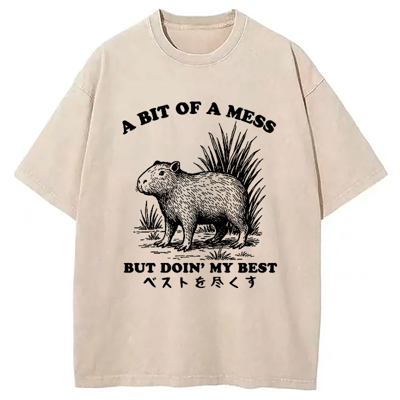 Modecanvas Capybara Doing Its Best Washed T-Shirt