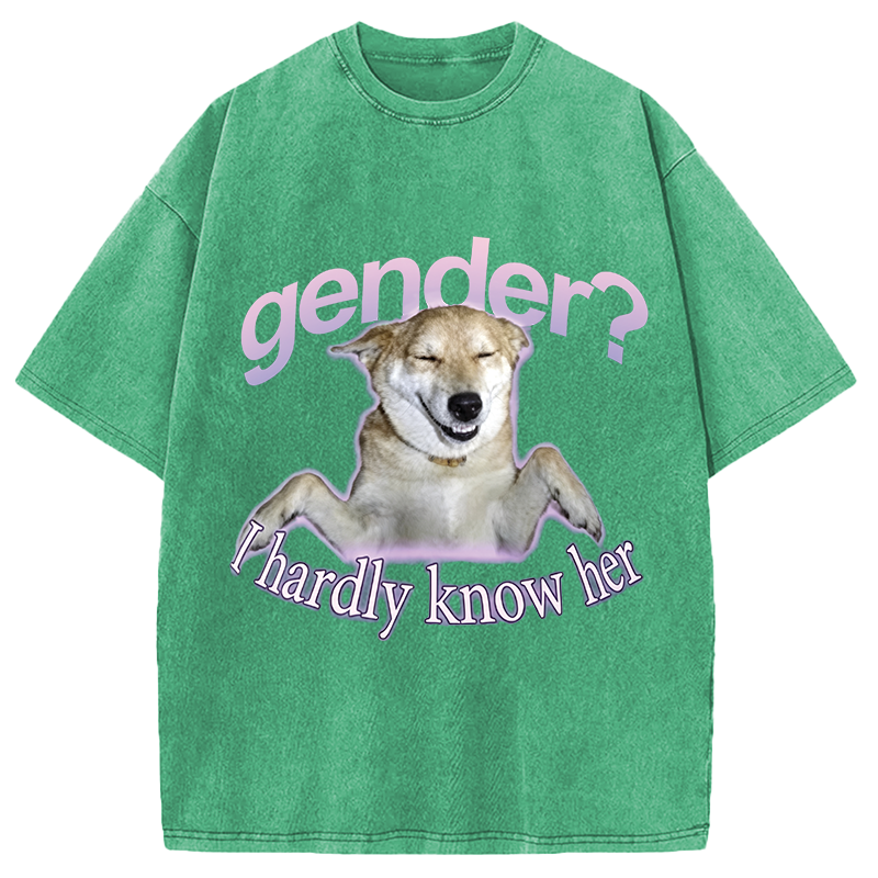 Modecanvas Gender I Hardly Know Her Meme DTG Printing Washed T-Shirt