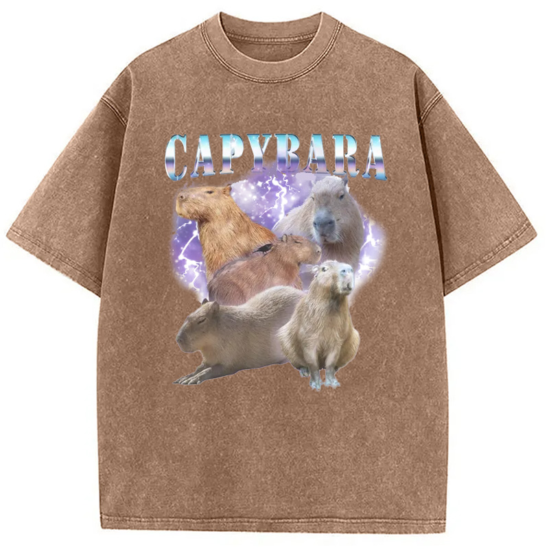 Modecanvas Vintage Capybara Washed T-Shirt