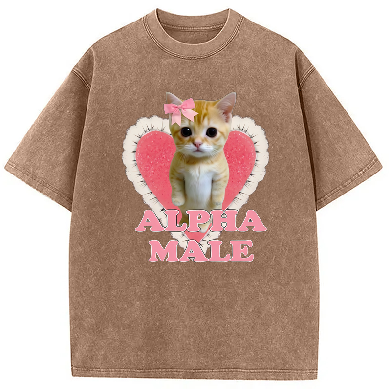 Modecanvas Alpha Male Kitten Washed T-Shirt