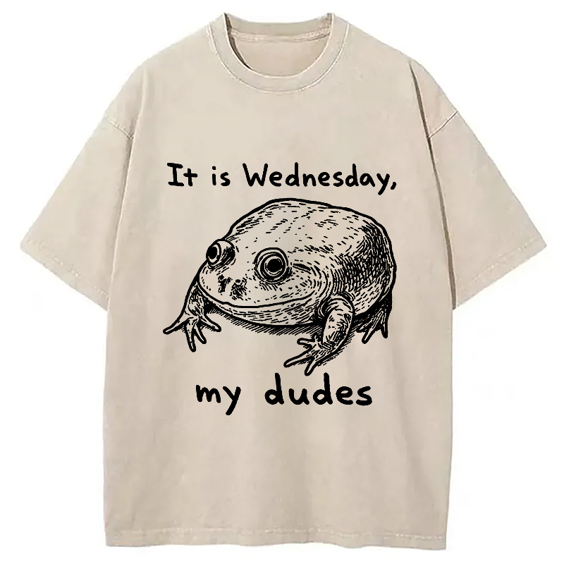 Modecanvas Wednesday Frog Vintage Washed T-Shirt-modecanvas